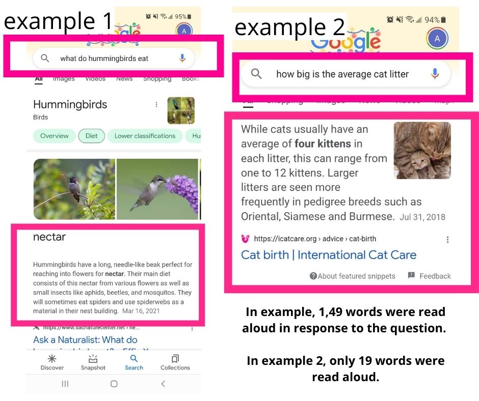 screenshot comparing the answers to a questions about kittens and a question about hummingbirds