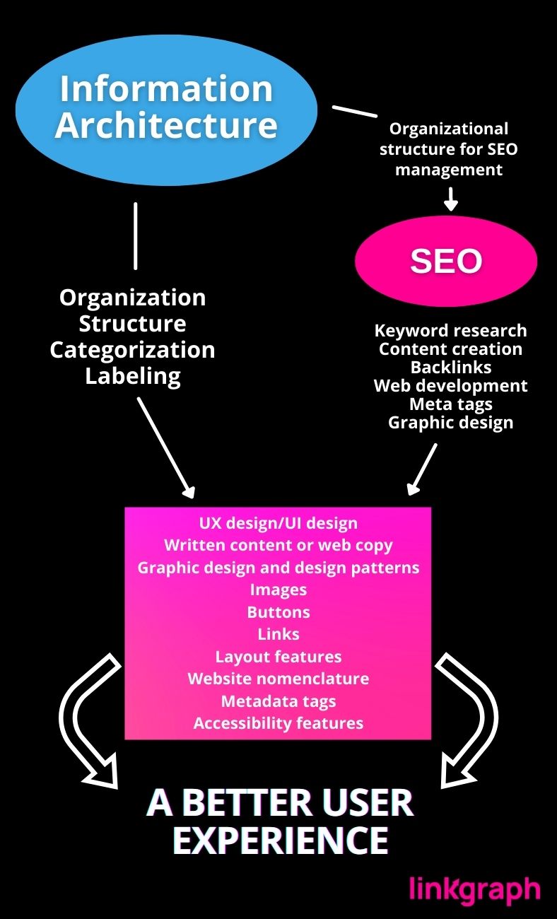 Graphic of how IA and SEO work together with black background and pink and blue graphics