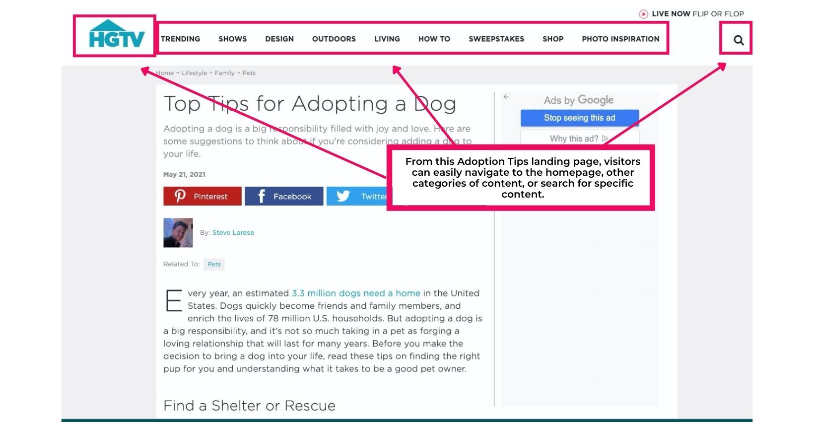  A landing page for HGTV on tips for adopting a dog. A pink box around the navigation menu.