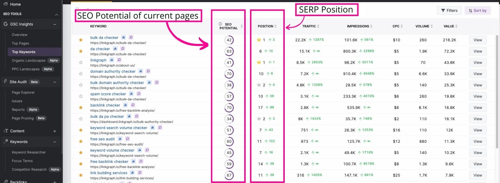 Screenshot of The Top Keyword Tool in GSC Insight with SERP position and SEO potential highlighted