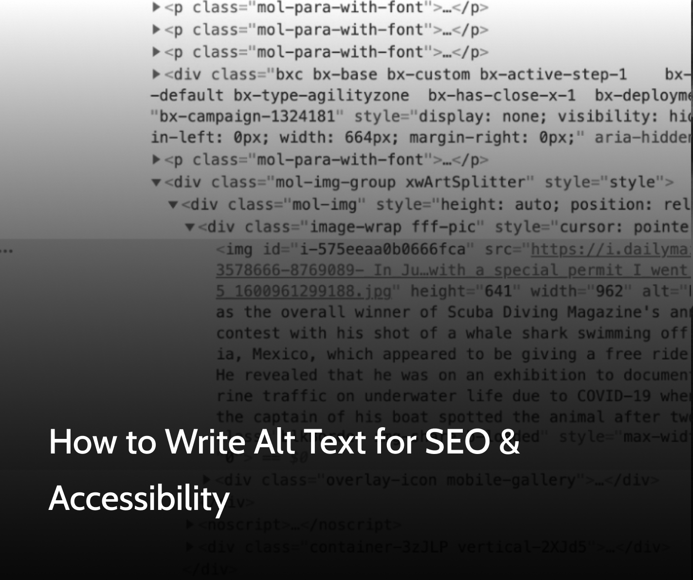 BG of alt text with word how to write alt text for seo and accessibility