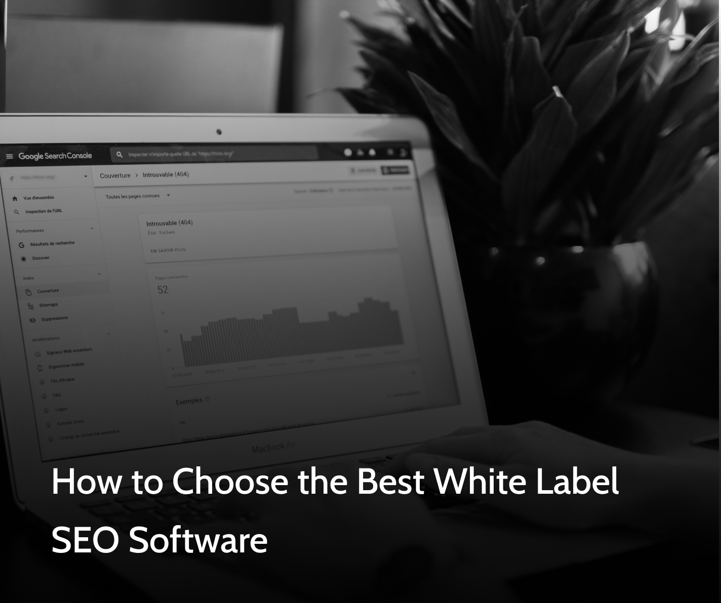 How to Choose the Best White Label SEO Software