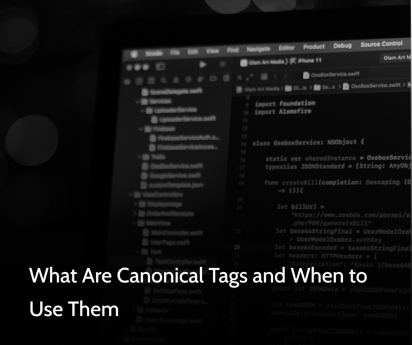 what are canonical tags and when to use them in text with html in the bg