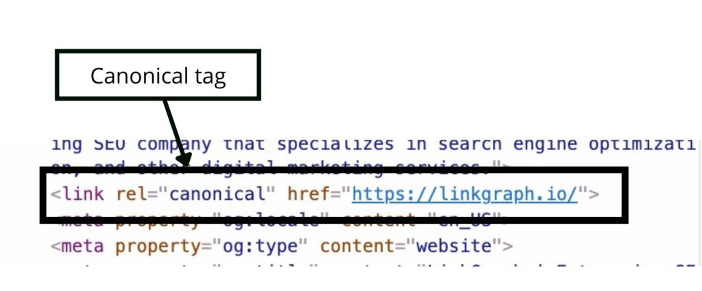 example of a canonical tag
