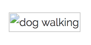 broken image icon with dog walking alt text visible