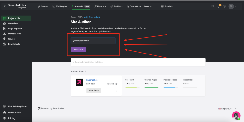 screenshot of text field in site auditor and button that says "Audit Site"